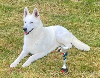 Nessy Krajsk� v�t�z